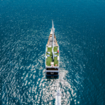 INVICTUS 3